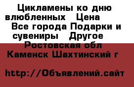 Цикламены ко дню влюбленных › Цена ­ 180 - Все города Подарки и сувениры » Другое   . Ростовская обл.,Каменск-Шахтинский г.